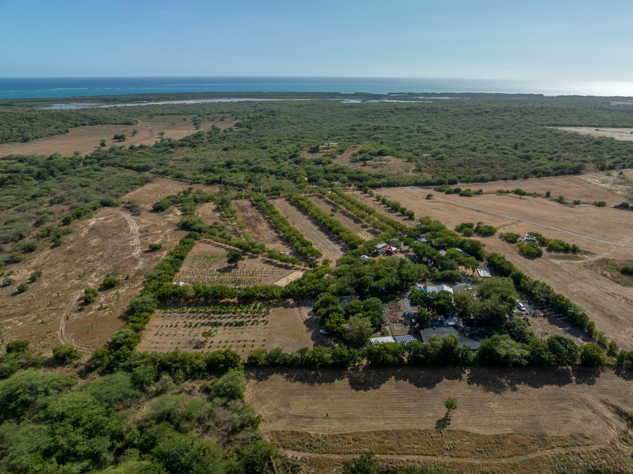 Vista aérea de una finca junto a la costa